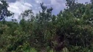 Terreno - Caldas Novas, GO