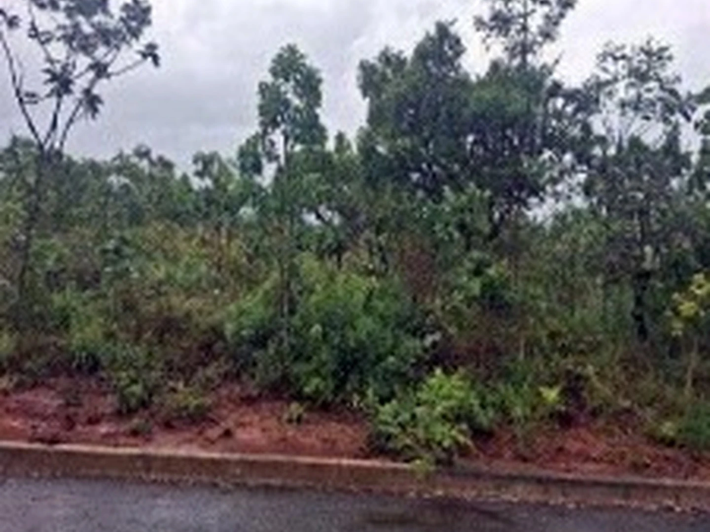 Terreno - Caldas Novas, GO - foto 1