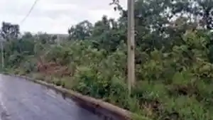 Terreno - Caldas Novas, GO