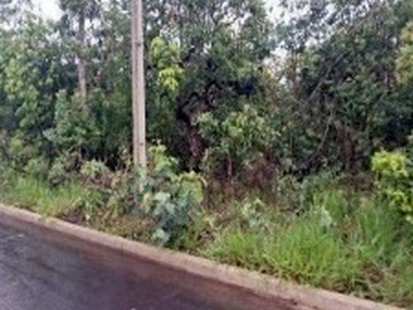 Terreno - Caldas Novas, GO - foto 1