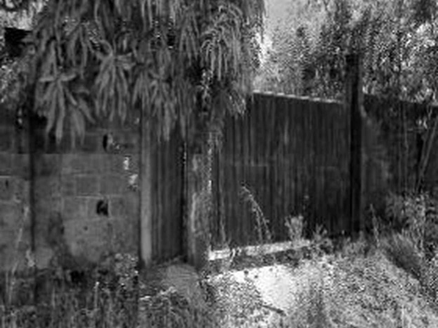 Terreno - Tucurui, PA - foto 1