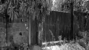 Terreno - Tucurui, PA