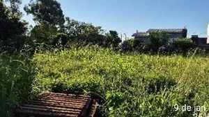 Terreno - Nova Erechim, SC