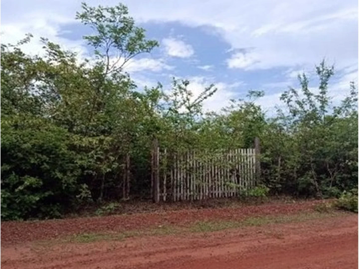 Terreno - Bom Principio Do Piaui, PI - foto 1