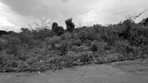 Terreno - Rondonopolis, MT