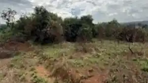 Terreno - Santana Do Paraiso, MG