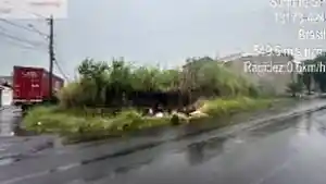 Terreno - Sumare, SP