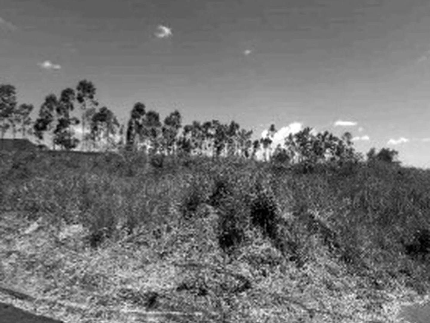 Terreno - Umuarama, PR - foto 1
