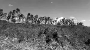 Terreno - Umuarama, PR