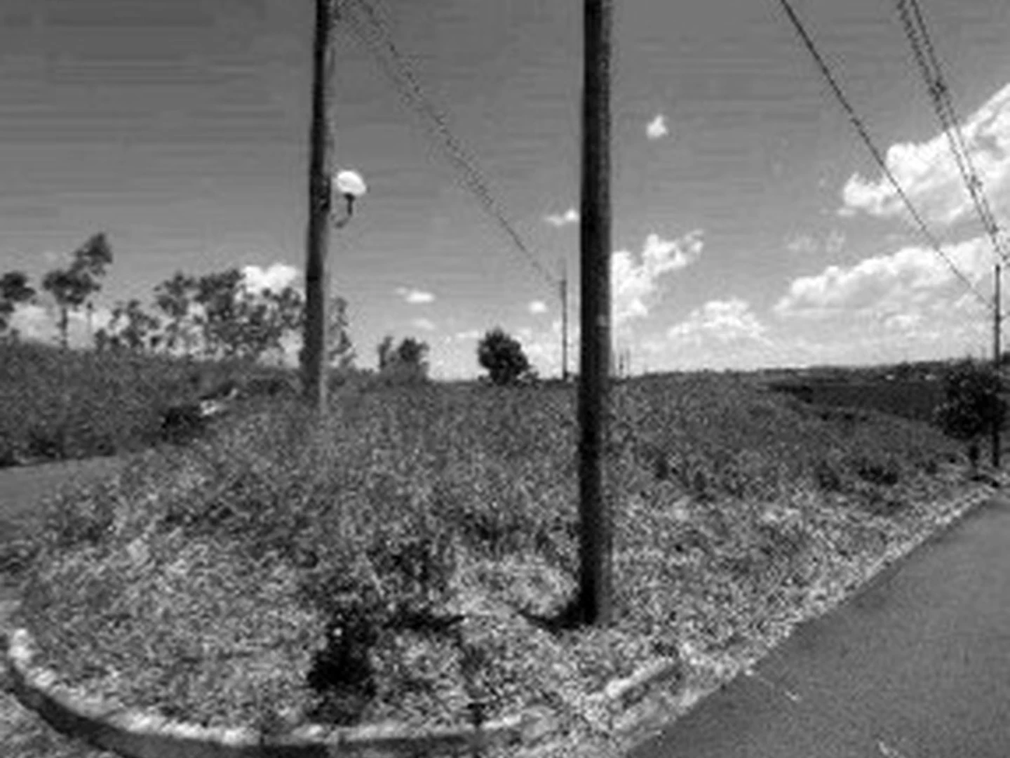Loja - Brasília, DF - foto 1