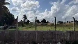 Terreno - Nossa Senhora Das Dores, SE