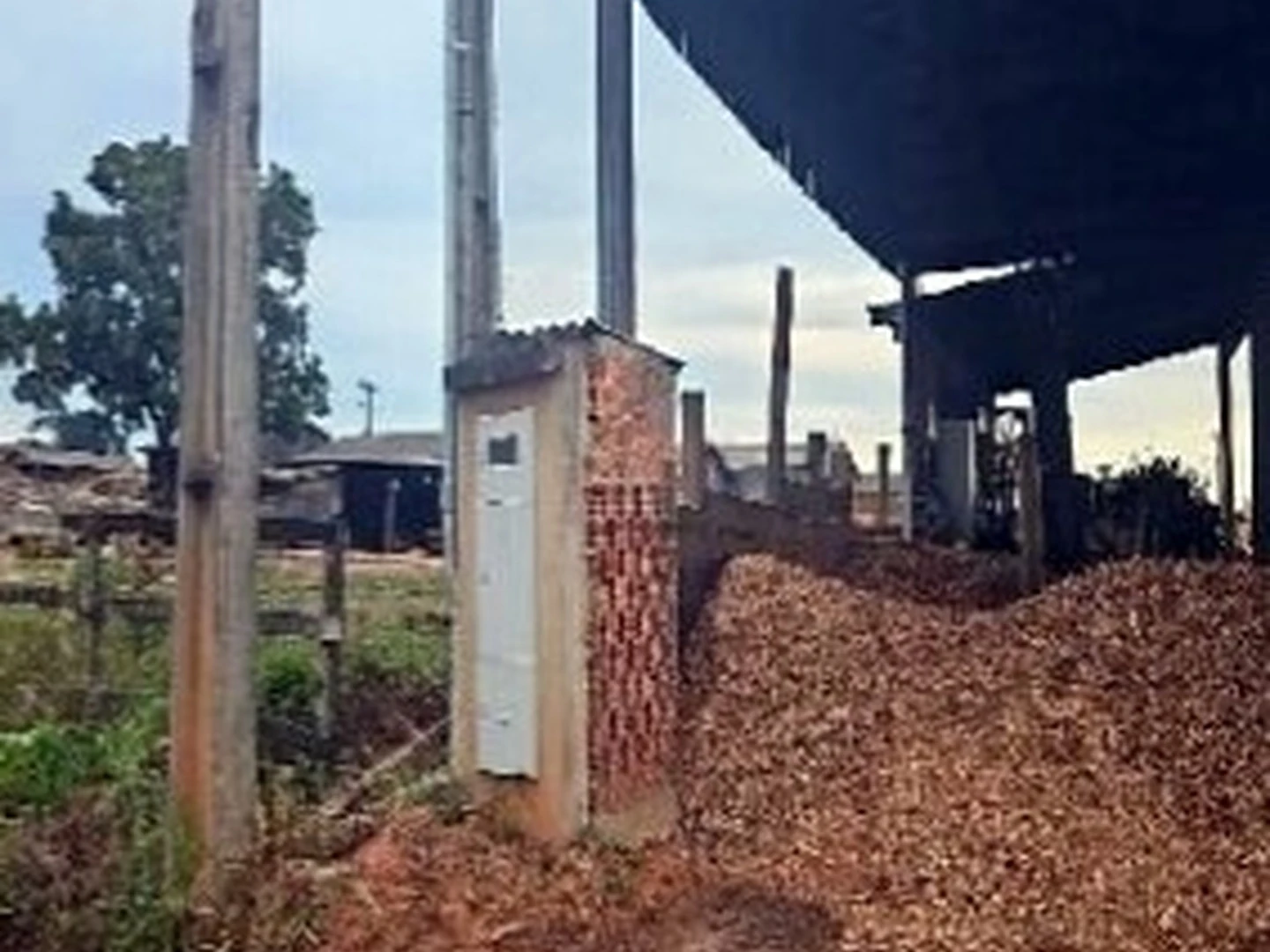 Terreno - Claudia, MT - foto 1