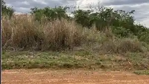 Terreno - Barra Do Garcas, MT