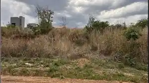Terreno - Barra Do Garcas, MT