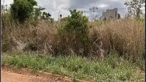 Terreno - Barra Do Garcas, MT