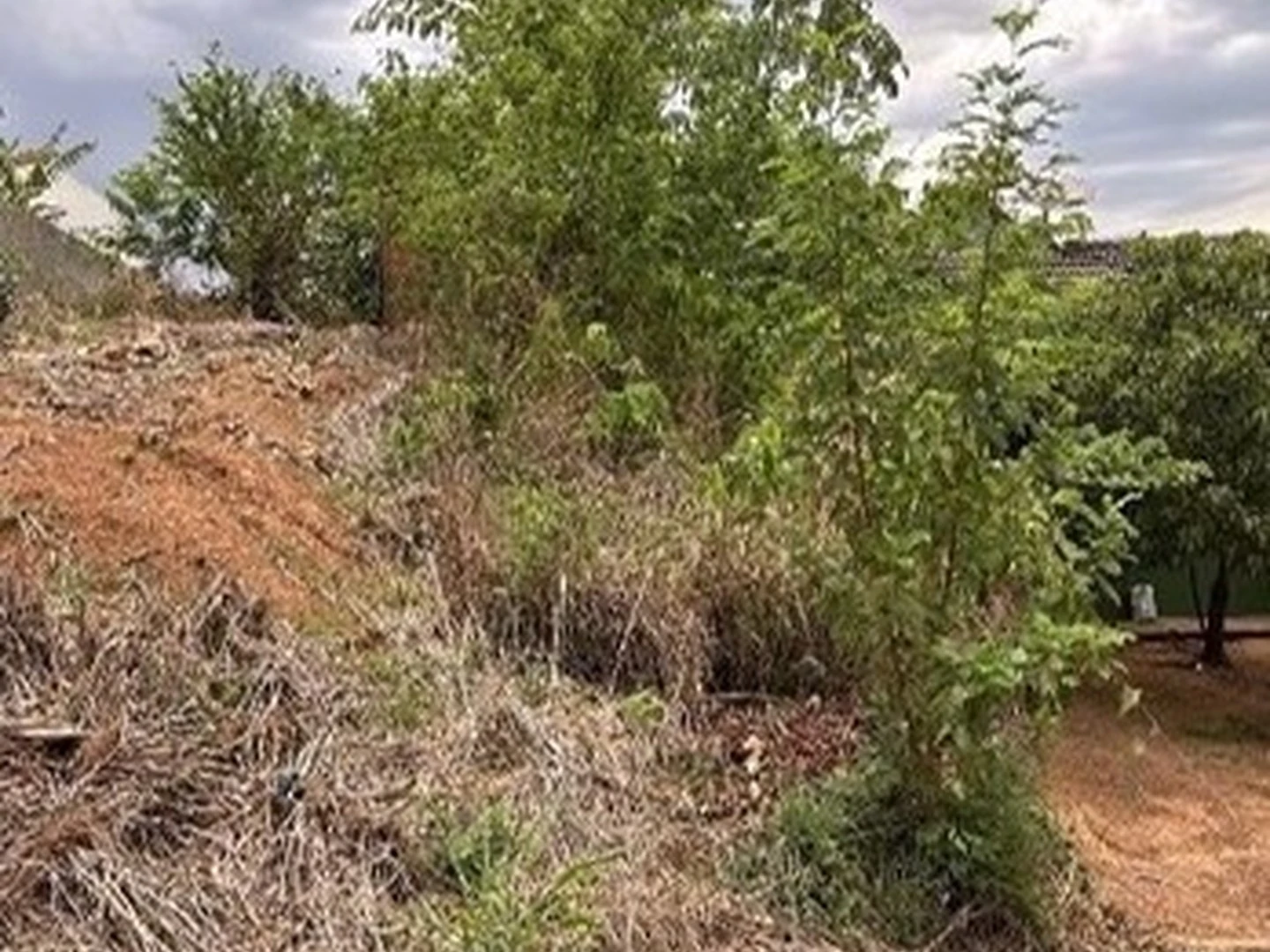 Terreno - Barra Do Garcas, MT - foto 1