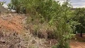Terreno - Barra Do Garcas, MT