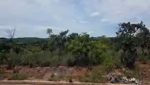 Terreno - Caldas Novas, GO