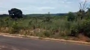 Terreno - Caldas Novas, GO