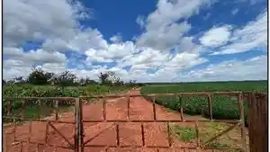 Terreno - Uberlandia, MG