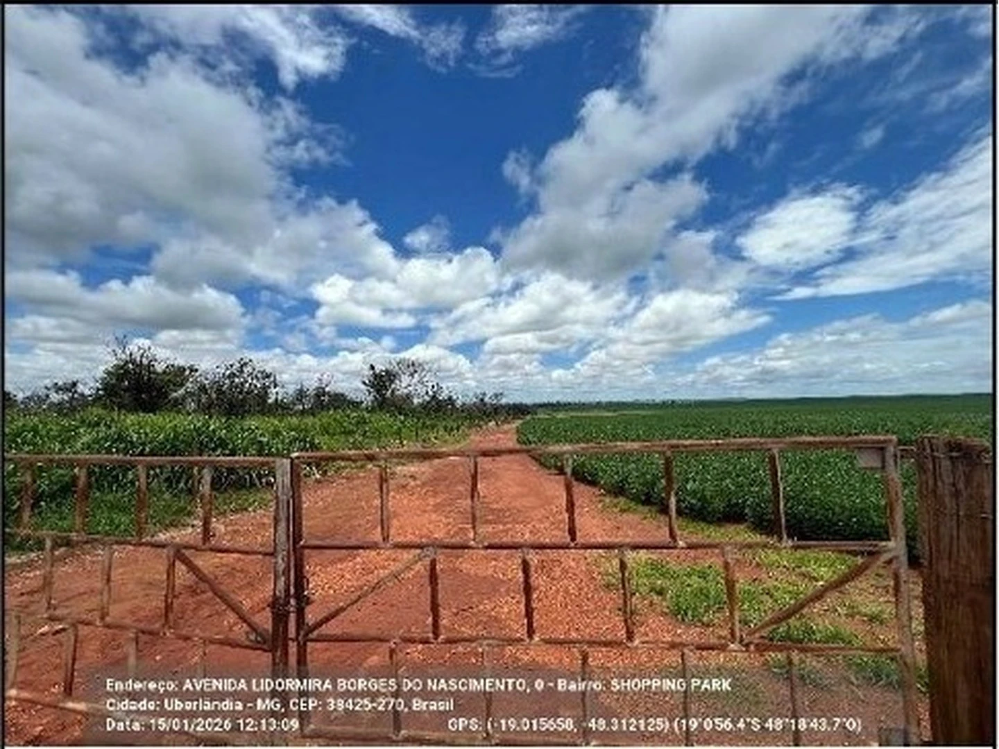 Terreno - Uberlandia, MG - miniatura 2