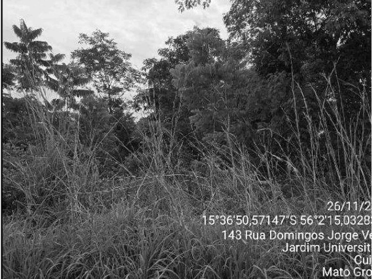 Terreno - Cuiaba, MT - miniatura 4