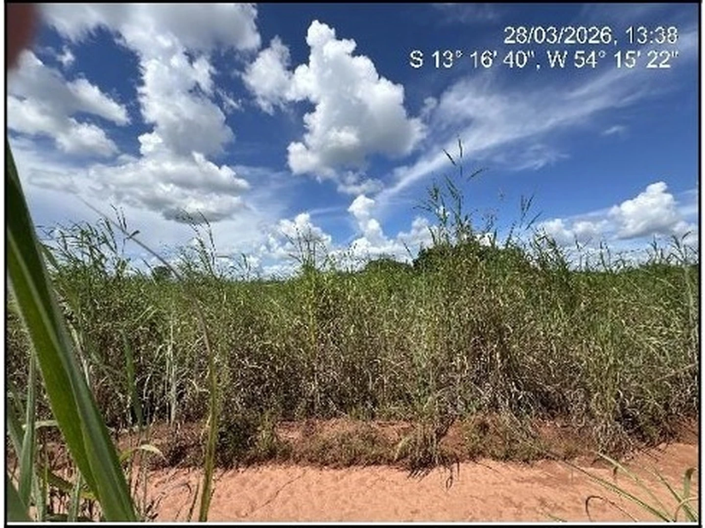 Terreno - Paranatinga, MT - foto 1