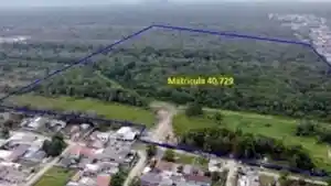 Imóvel Rural - Matinhos, PR