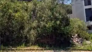 Terreno - Bombinhas, SC