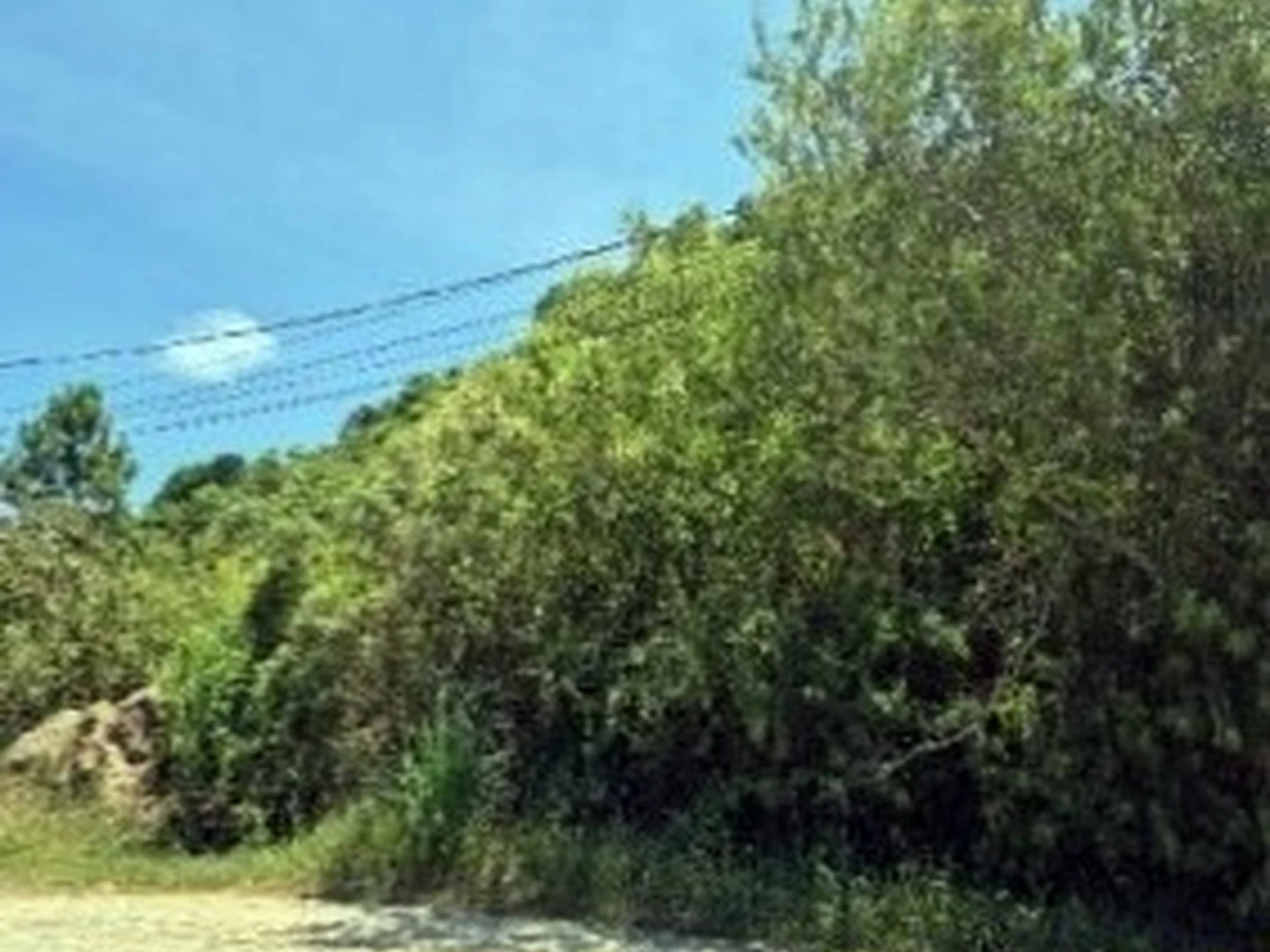 Terreno - Bombinhas, SC - foto 1