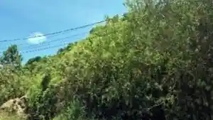 Terreno - Bombinhas, SC
