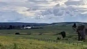 Imóvel Rural - Dom Eliseu, PA