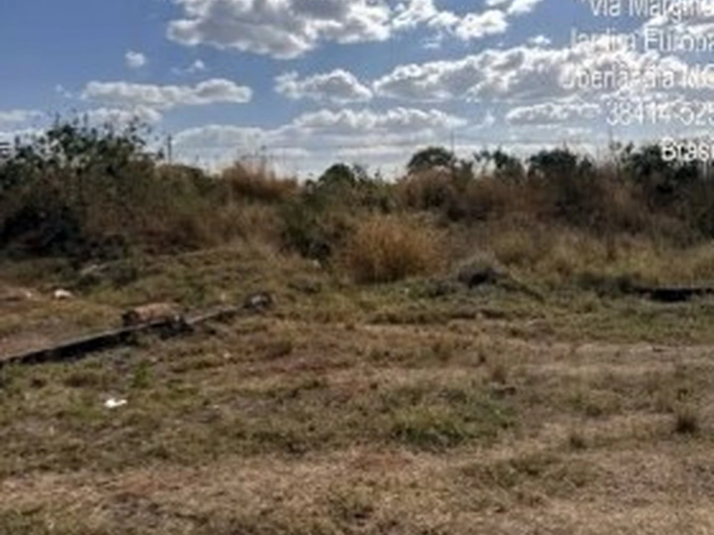 Terreno - Uberlandia, MG - foto 1