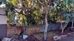 Terreno - Cantagalo, PR