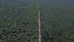 Imóvel Rural - Brejo Do Piaui, PI