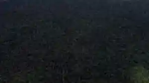 Imóvel Rural - Brejo Do Piaui, PI