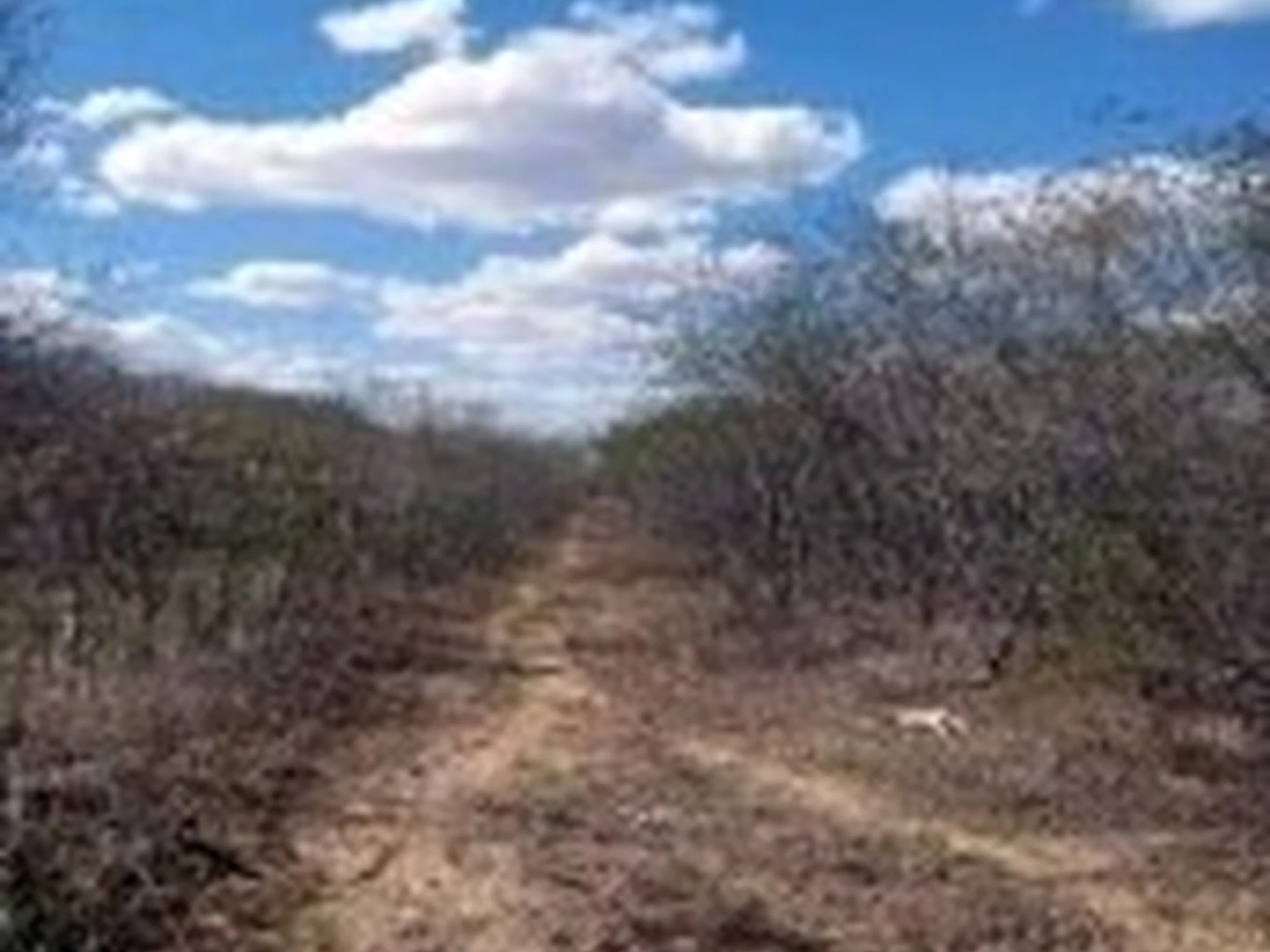 Imóvel Rural - Granito, PE - foto 1