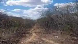 Imóvel Rural - Granito, PE