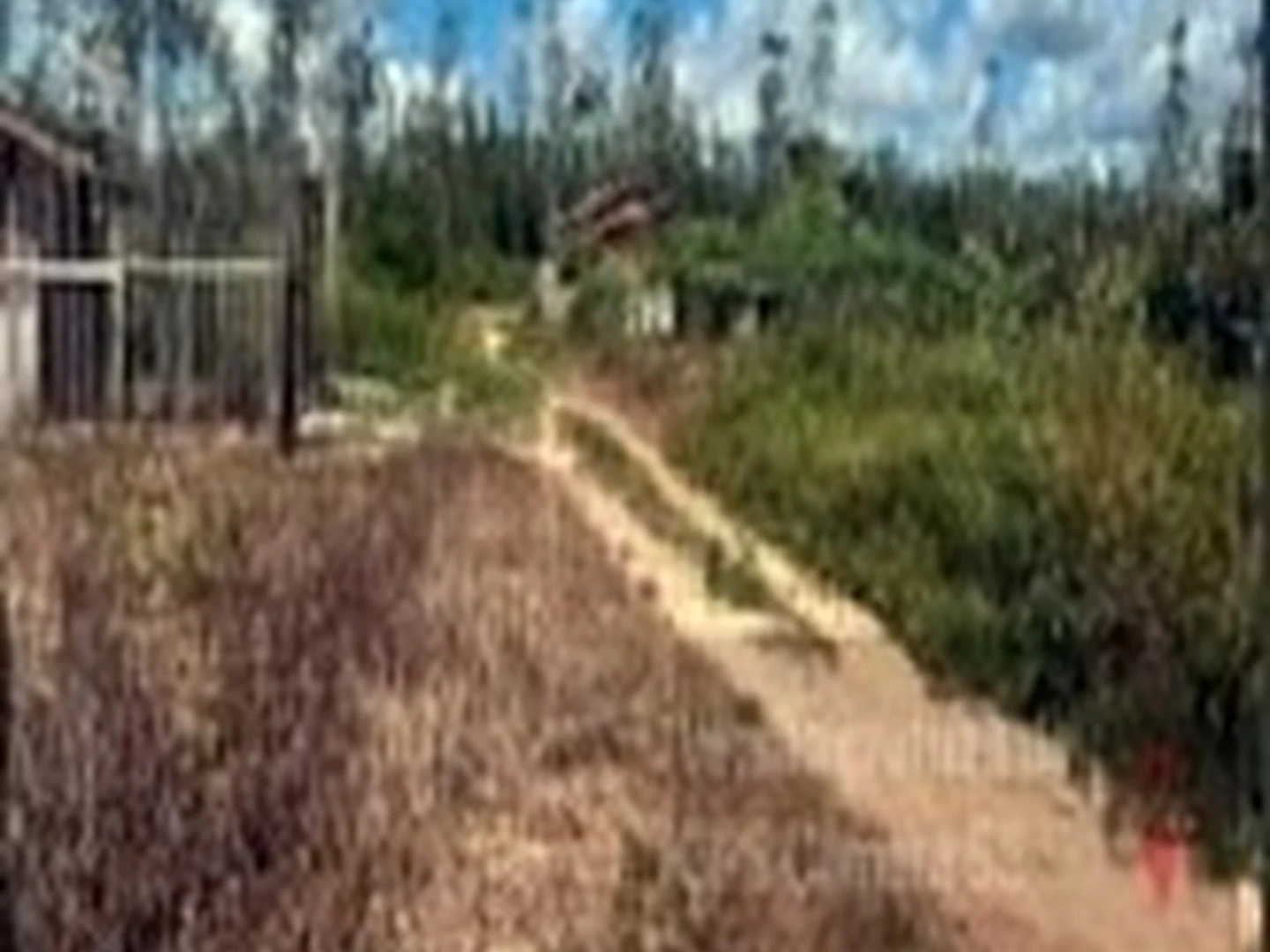 Gleba Urbana - Mae Do Rio, PA - miniatura 2