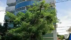 Apartamento - Rio De Janeiro, RJ