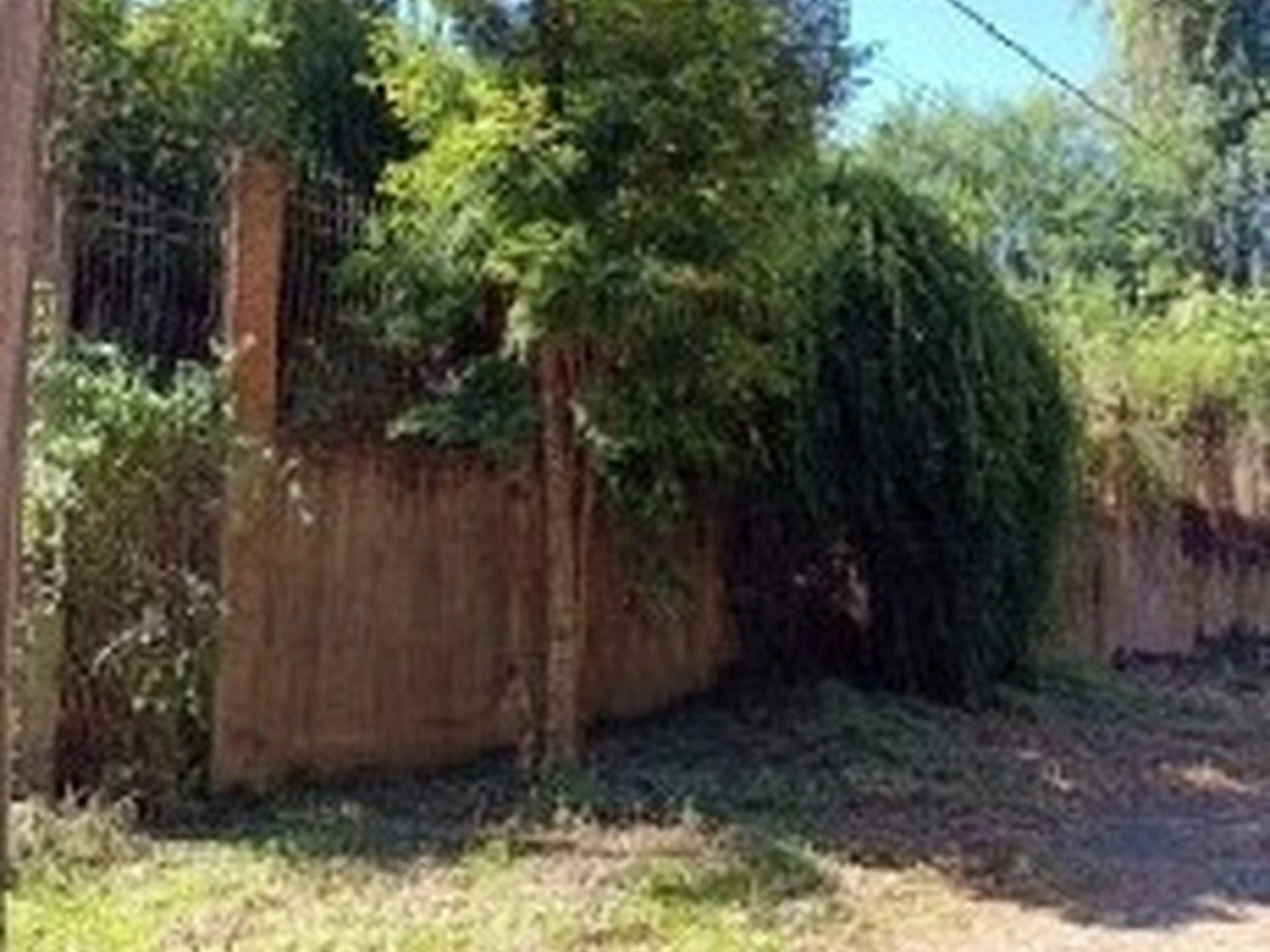 Casa - Estancia Velha, RS - foto 1