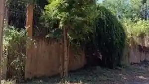 Casa - Estancia Velha, RS