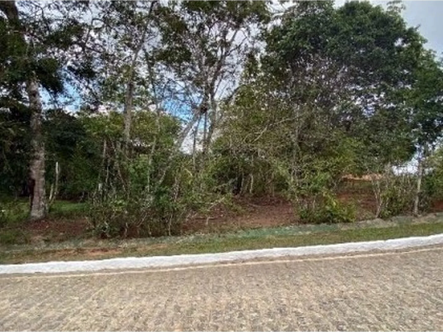 Terreno - Alianca, PE - foto 1