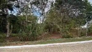 Terreno - Alianca, PE