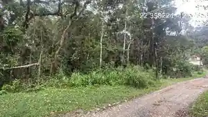 Terreno - Nova Friburgo, RJ