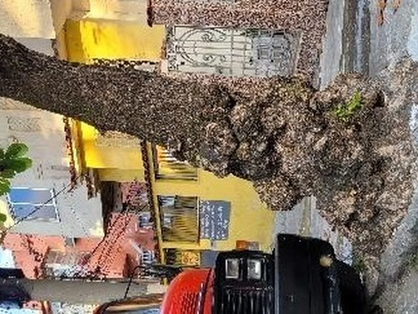 Casa - Rio De Janeiro, RJ - foto 1