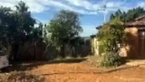 Terreno - Silvania, GO