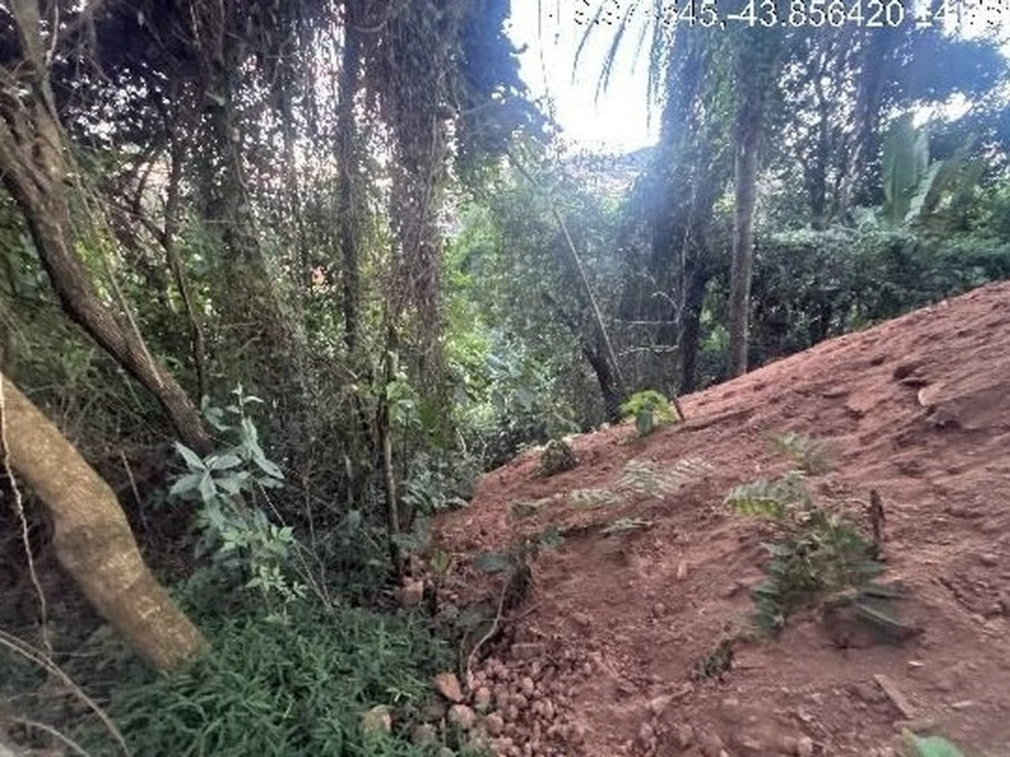 Terreno - Nova Lima, MG - foto 1