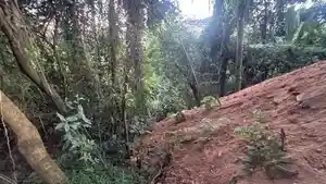 Terreno - Nova Lima, MG