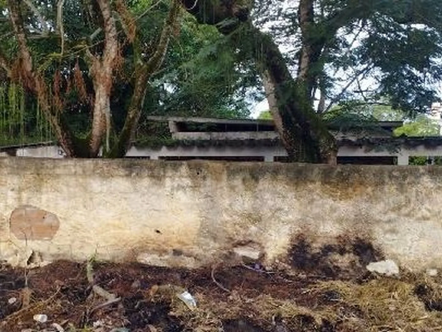 Casa - Araruama, RJ - foto 1